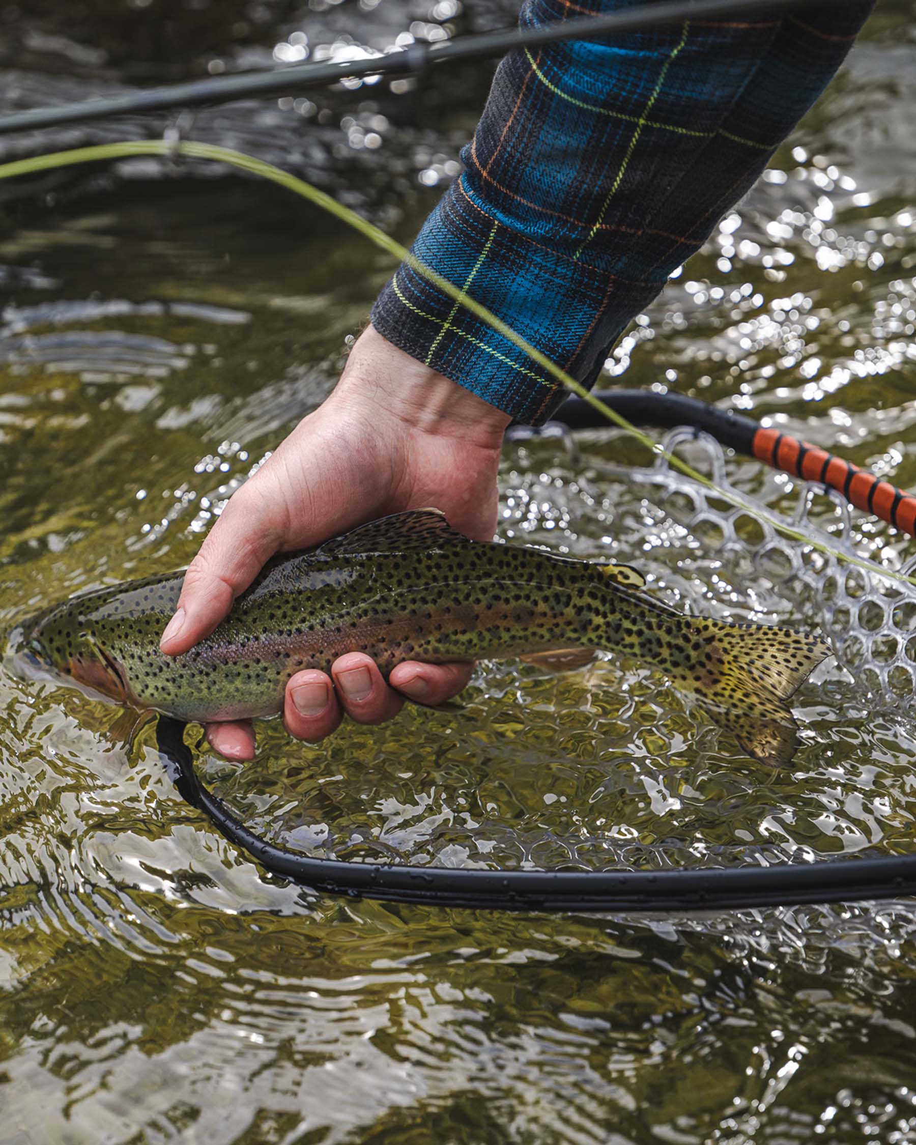 Simms Daymaker Landing Net -Small For Gear|Men