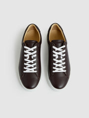 Leather Low-Top Trainers Plum Purple | Men