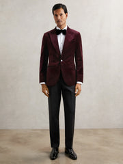 Single-Breasted Velvet Blazer Regular-Fit Bordeaux | Men